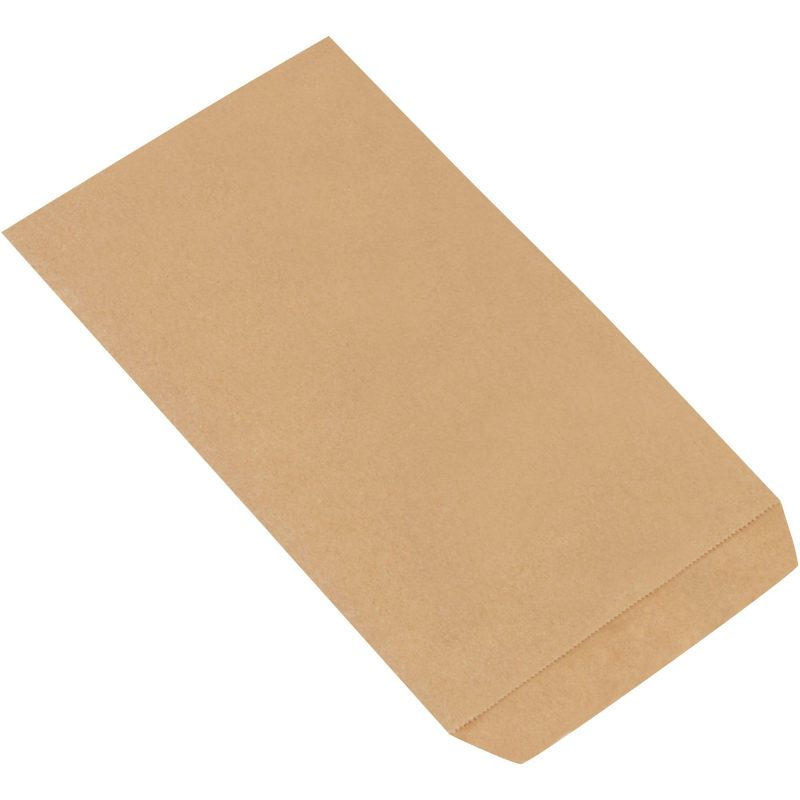 6 14 x 9 14 kraft flat merchandise bags bgm101k