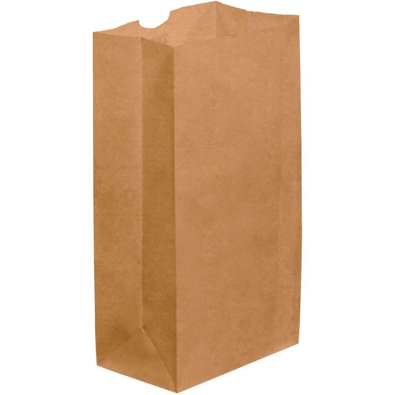 6 18 x 4 x 12 38 kraft grocery bags bgg105k