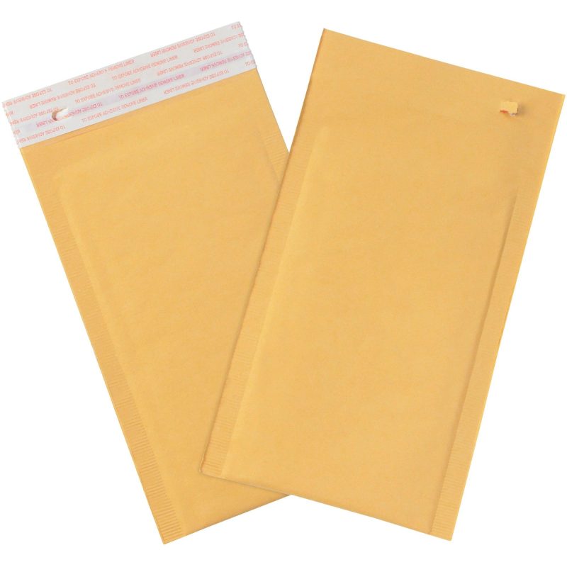 6 x 10 kraft 0 self seal bubble mailers wtear strip b853sstt