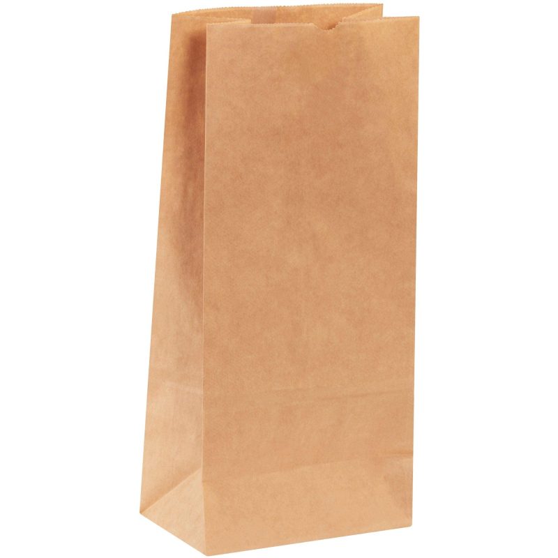 8 14 x 5 14 x 18 kraft hardware bags bgh131k