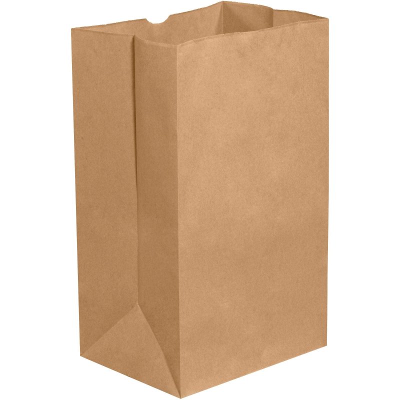 8 14 x 5 1516 x 13 38 kraft grocery bags bgg118k