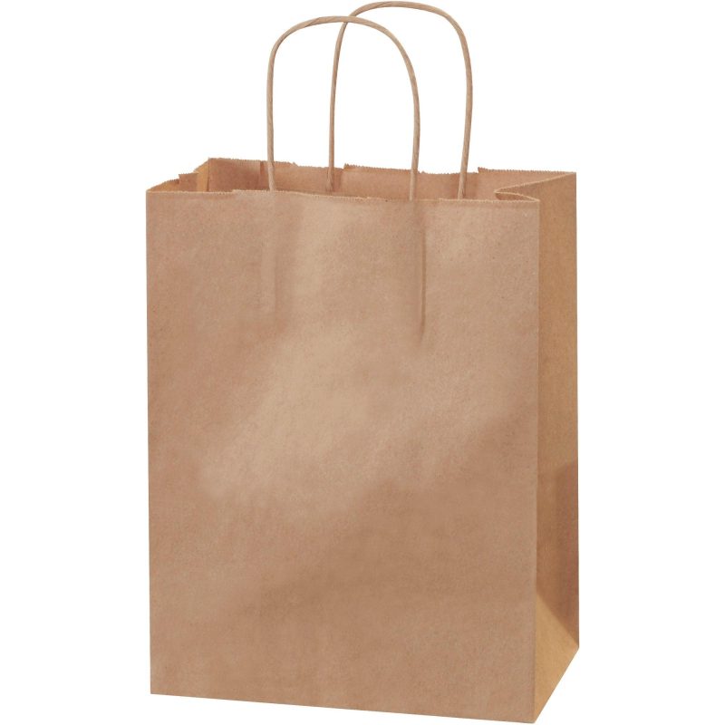 8 x 4 12 x 10 14 kraft paper shopping bags bgs103k