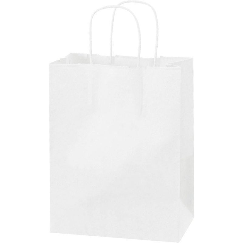 8 x 4 12 x 10 14 white paper shopping bags bgs103w