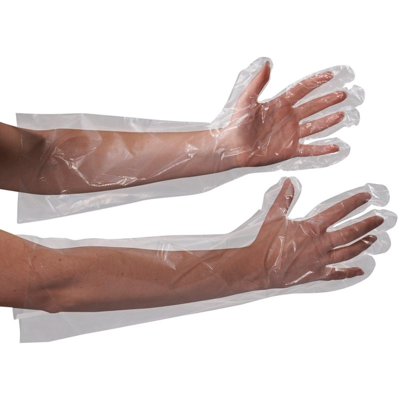 clear poly gloves 18 elbow length glv2221