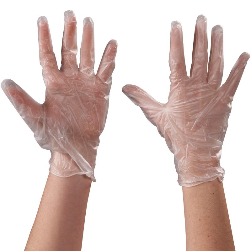 vinyl gloves clear 5 mil powder free large glv2043l